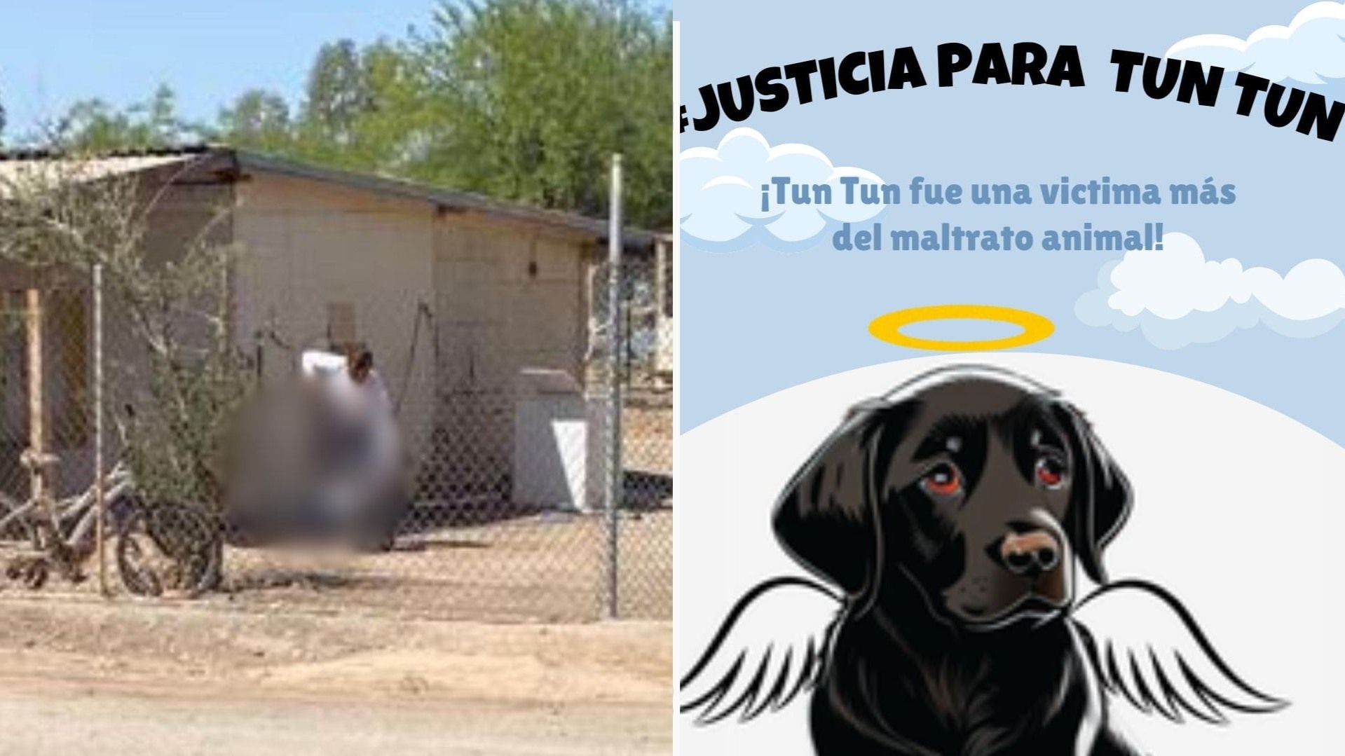 Piden Justicia para 'Tun Tun', Perrito Asesinado a Palazos en Mexicali