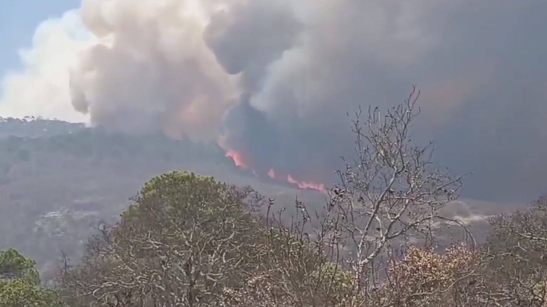 Incendio en Mitla, Oaxaca, Devasta Amplias Zonas de Bosques