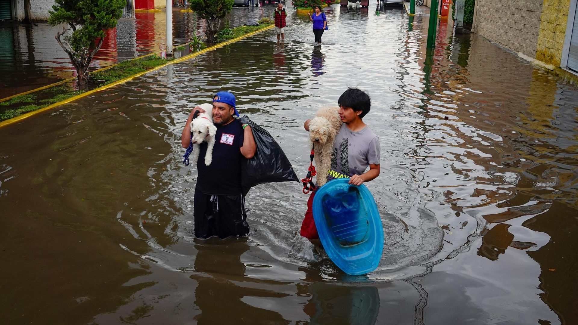 Pierden Casi Todo: Inundaciones en Chalco y Cuautitlán Dejan Miles de Afectados