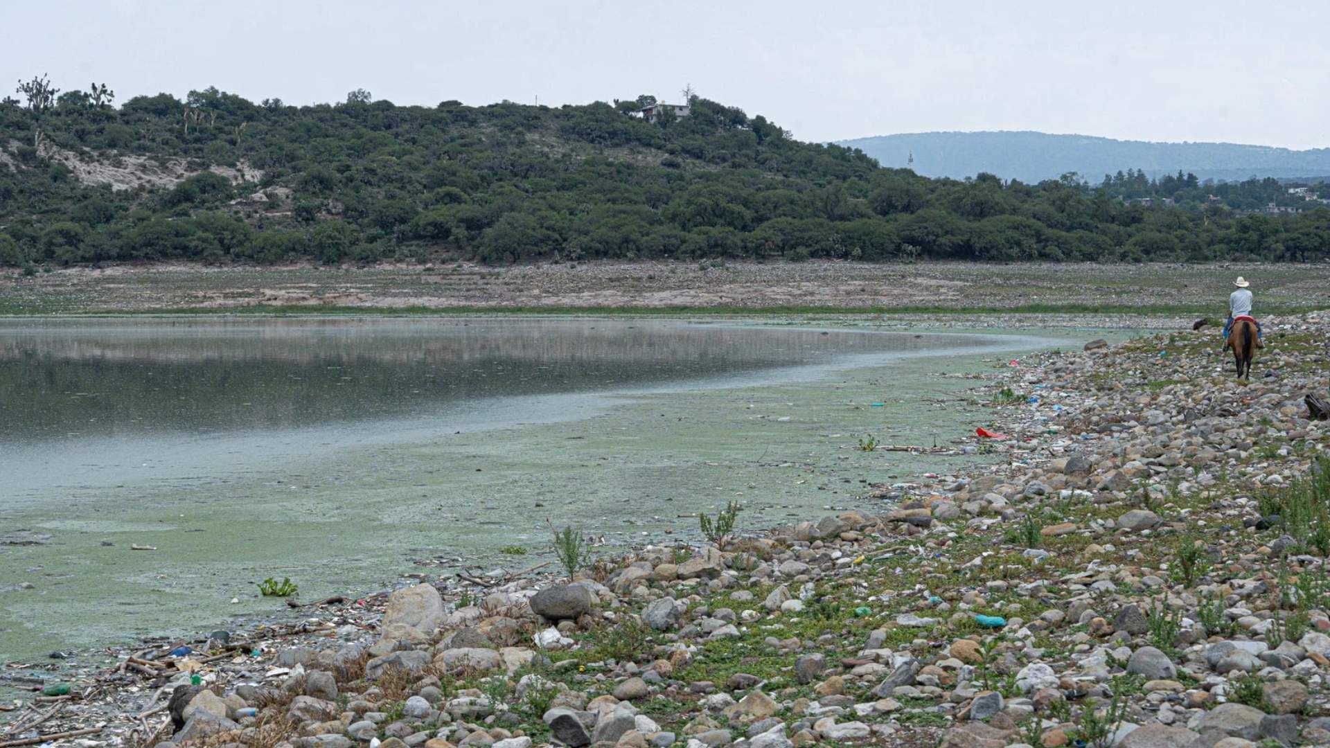 Zona de Presa Endhó en Hidalgo se Convertirá en Área de Restauración Ecológica