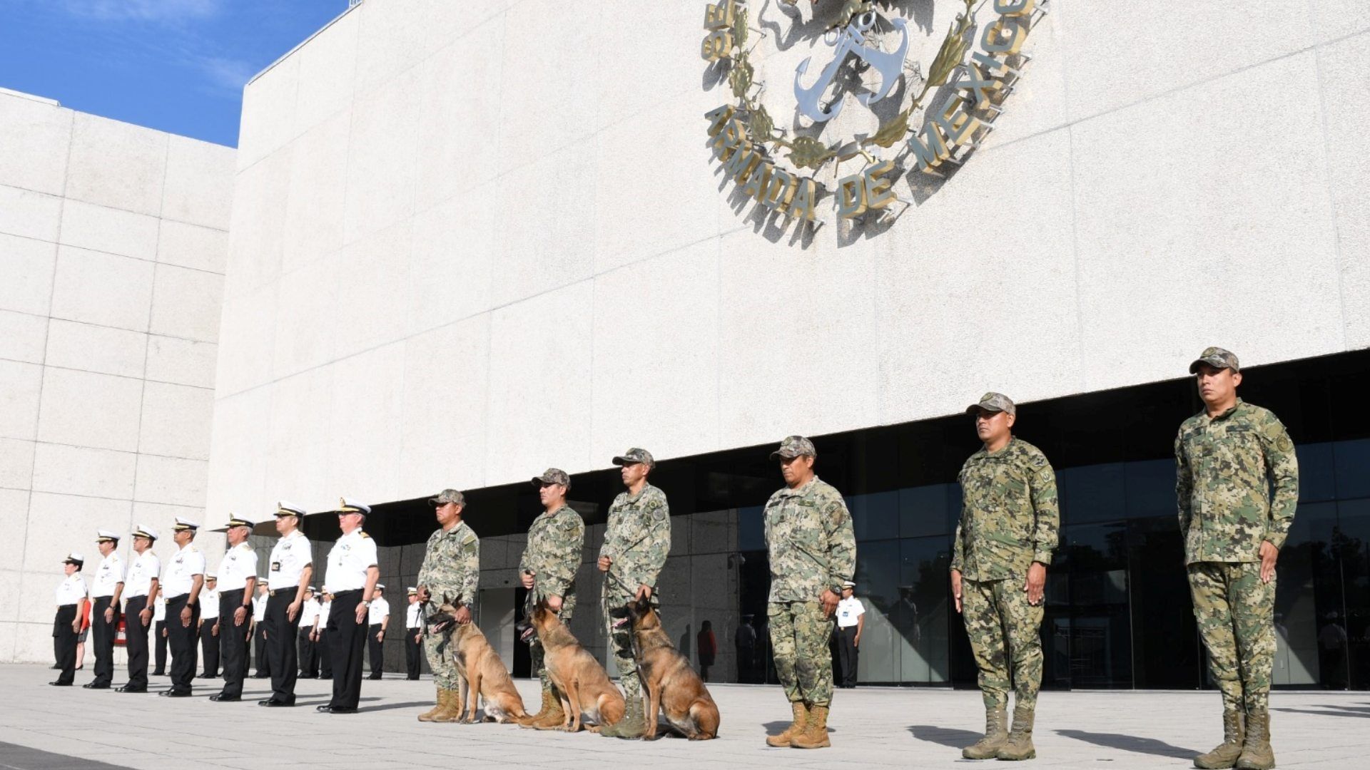 La Secretaría de Marina a través de la Armada de México informó hoy 3 de junio de 2024 que los perritos Eden, Enry y Eska fueron jubilados del servicio activo de la institución