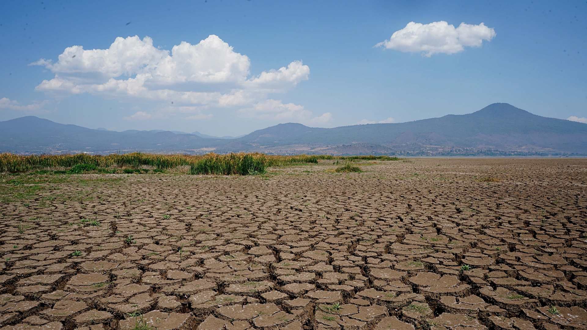 ¿Lluvias en 2024 Acabarán con la Sequía en México? UNAM Responde