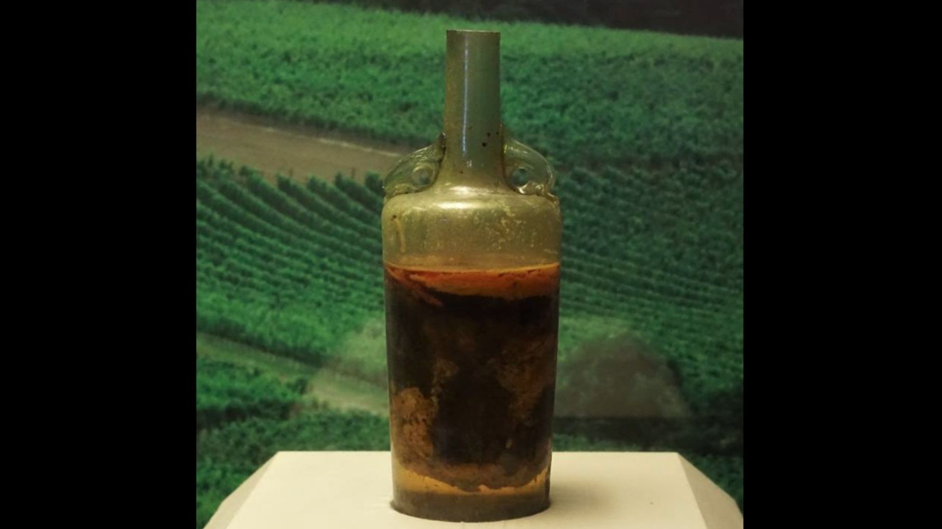 Con 2 Mil Años de Existencia, Encuentran el Vino Más Antiguo en España