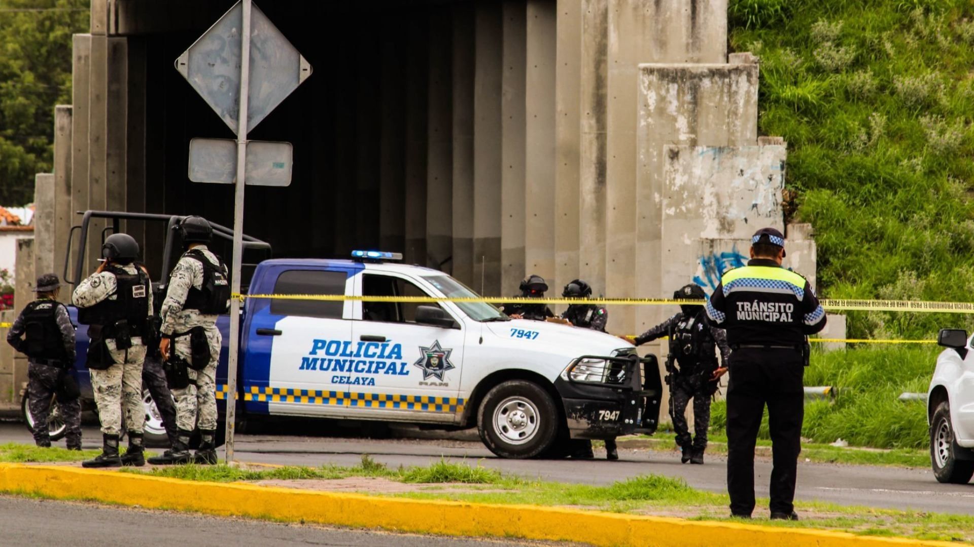 Suman 36 Policías Asesinados en Guanajuato en 2024, Celaya con más Casos