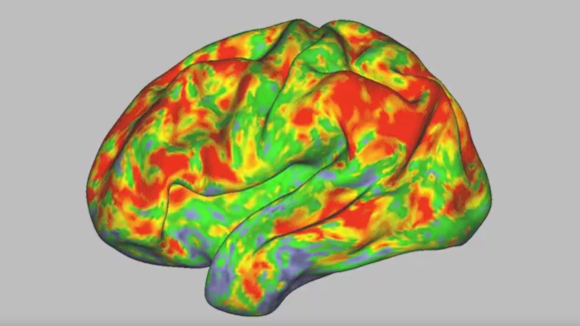 El cerebro se ‘resetea’ al consumir hongos