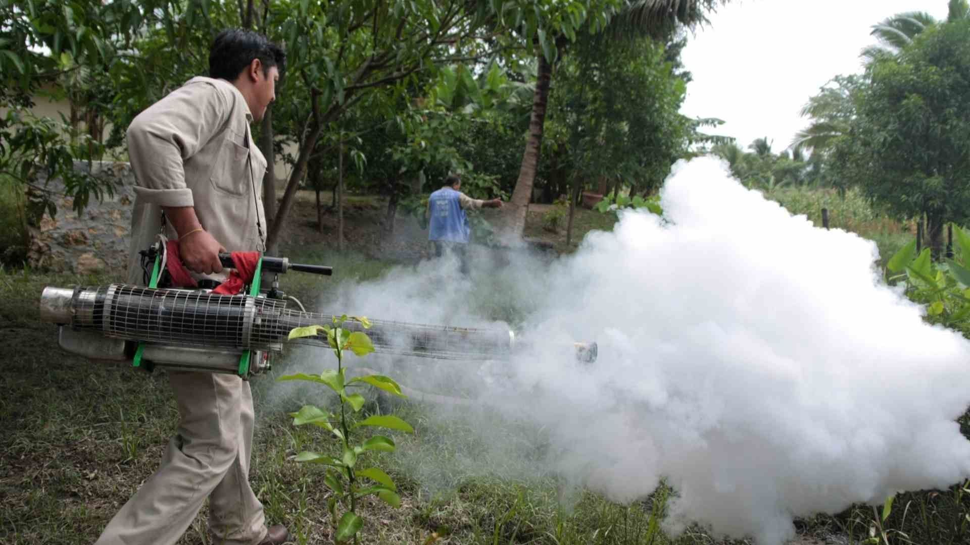 Repuntan Casos de Dengue en la Península de Yucatán