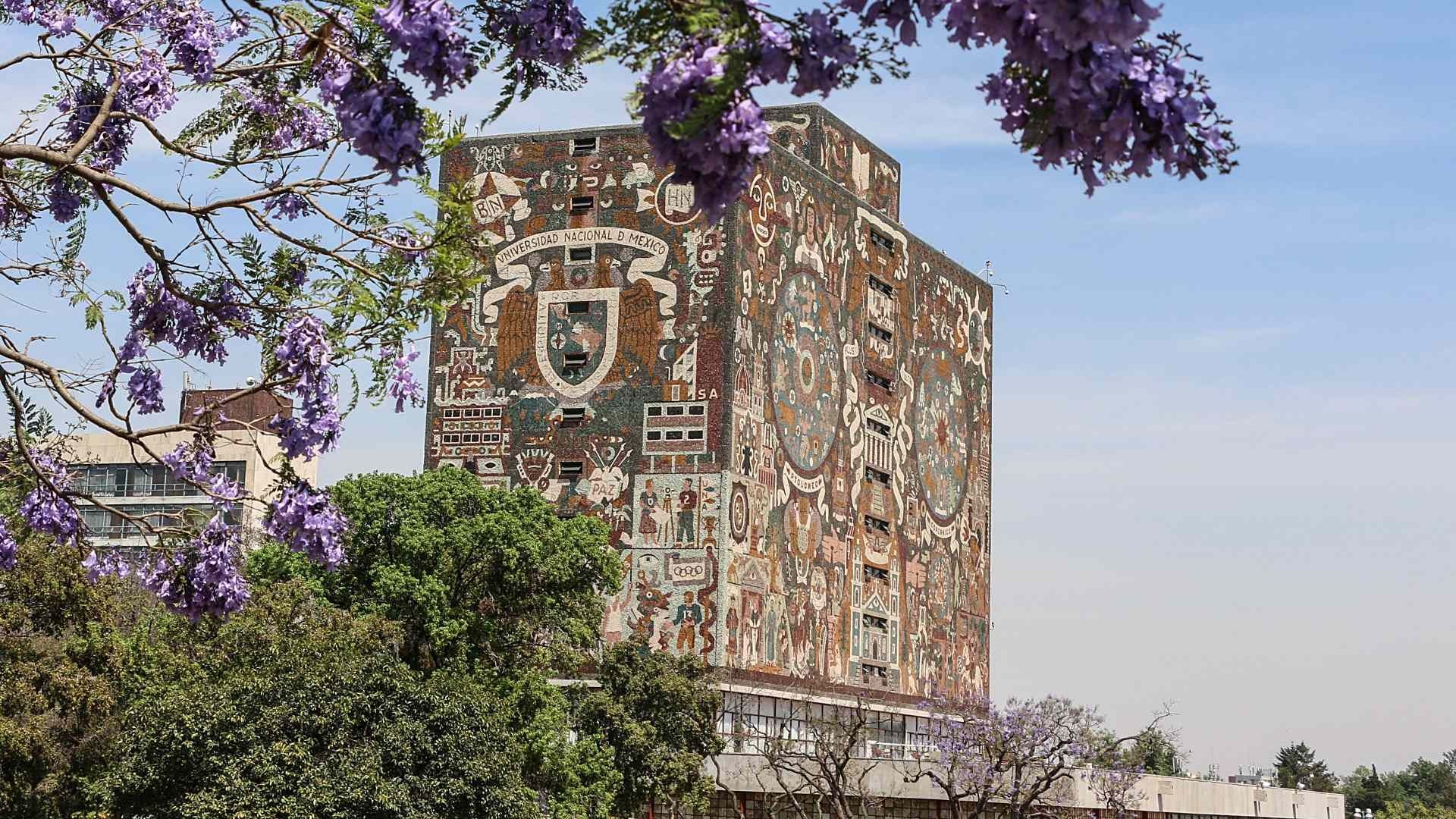 ¡Logran Puntaje Perfecto! ¿Qué Estudiarán Aspirantes que Acertaron Todo el Examen de la UNAM?