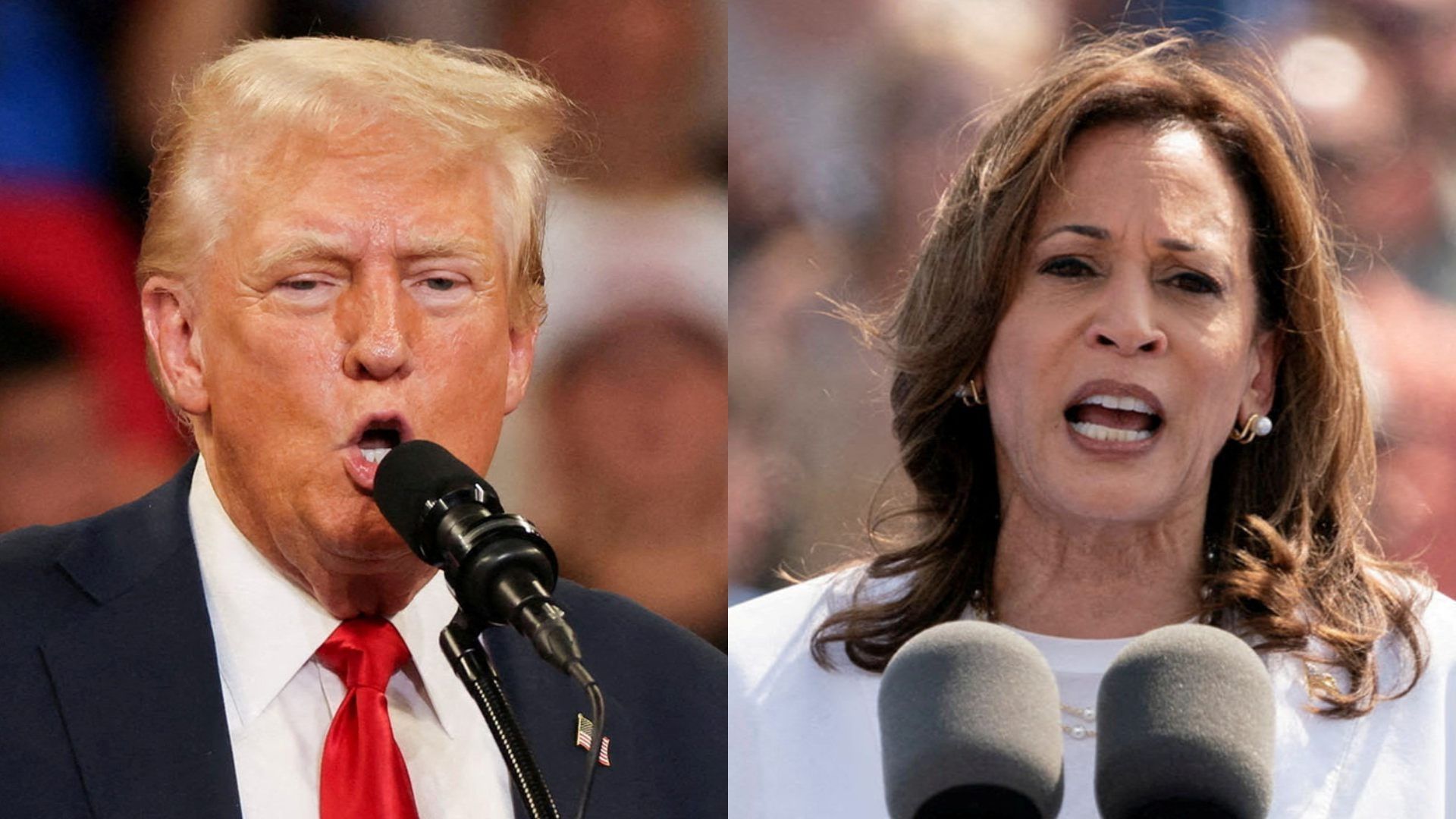 Donald Trump y Kamala Harris son dos de los candidatos presidenciales más conocidos en este ciclo electoral. Foto: N+ 