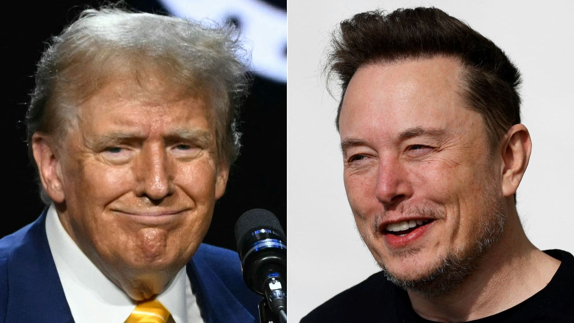 Elon Musk habla con Donald Trump en X