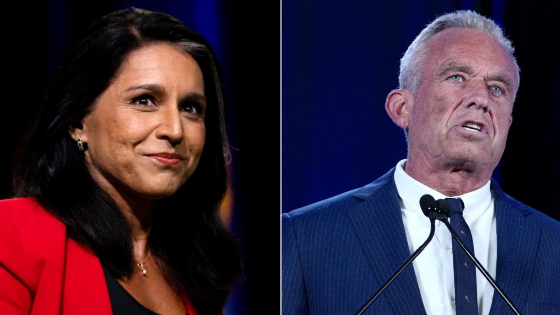 Trump Suma a Robert F. Kennedy Jr. y a Tulsi Gabbard a su Equipo de  Transición | N+