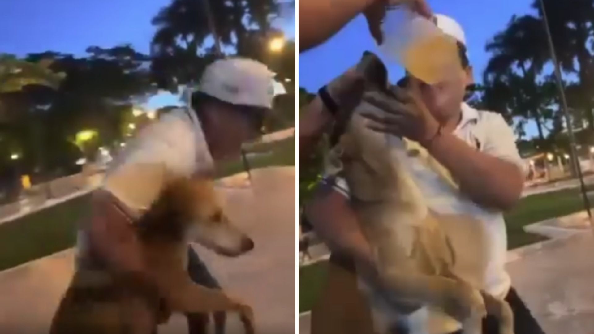 Captan a Jóvenes Emborrachando a Perrito en Yucatán