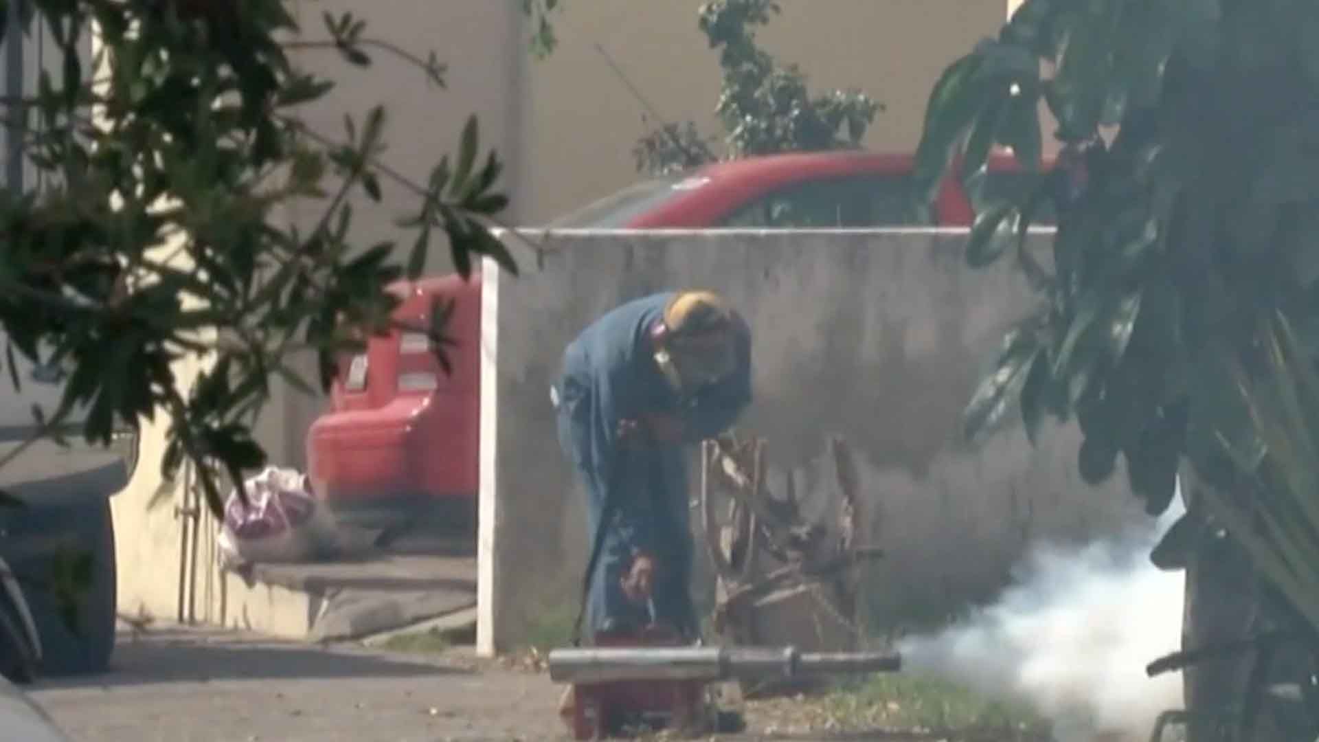 Tamaulipas Reporta Dos Nuevas Muertes por Dengue; Alertan Sobre Incremento de Casos