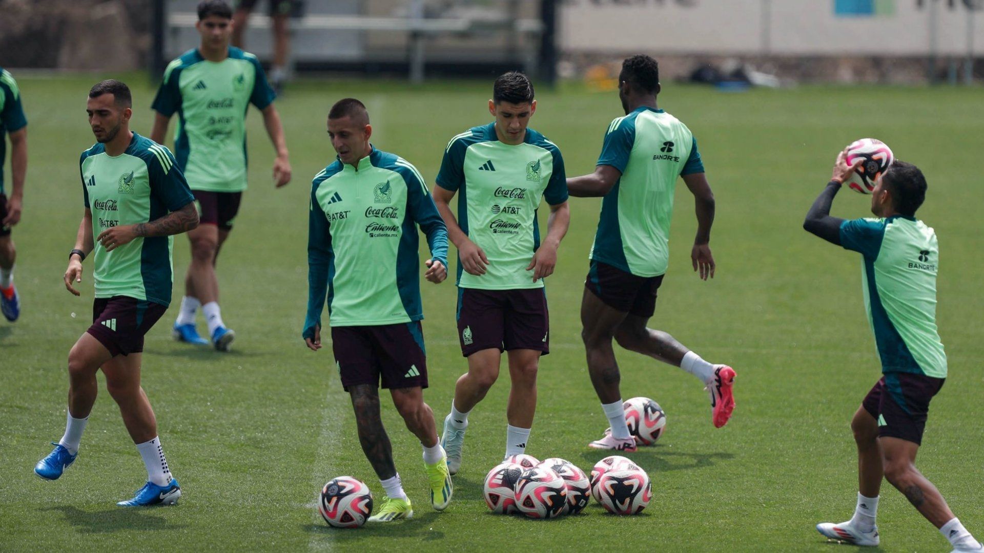 Qué canal transmite México vs Nueva Zelanda horario dónde ver partido amistoso 2024