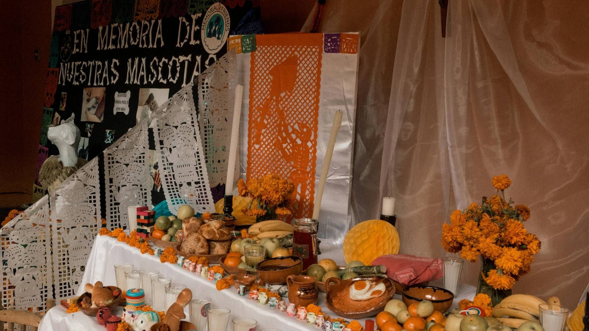 ¿Cuándo es el Día de Muertos de las Mascotas? En Esta Fecha se Pone Ofrenda a Animales Difuntos 