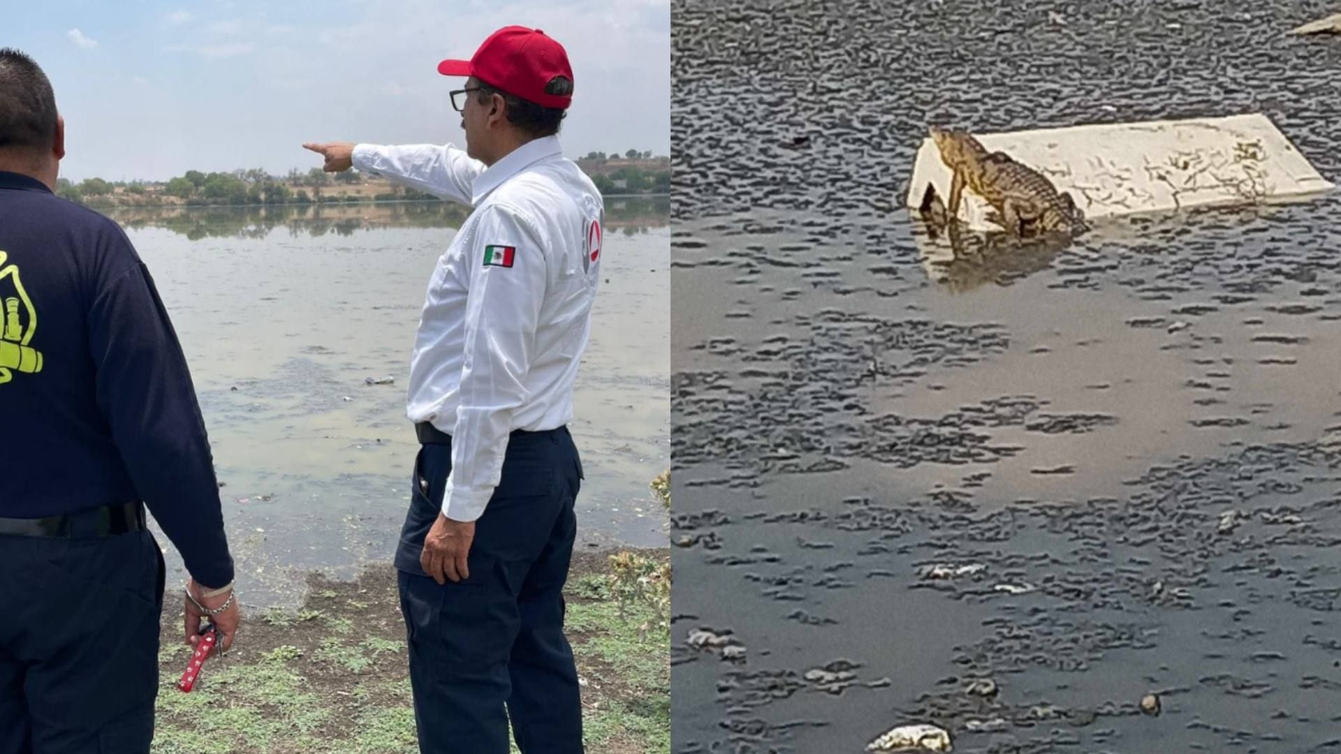 Realizan operativo de seguridad en la Laguna de la Piedad de Cuautitlán Izcalli por el avistamiento de un cocodrilo