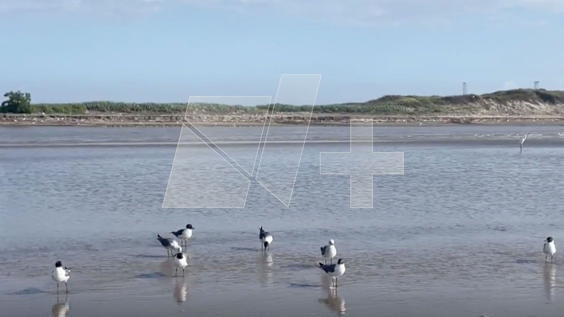 Ambientalistas Protestarán en Aguas del Golfo de México durante Próximo Lanzamiento de SpaceX