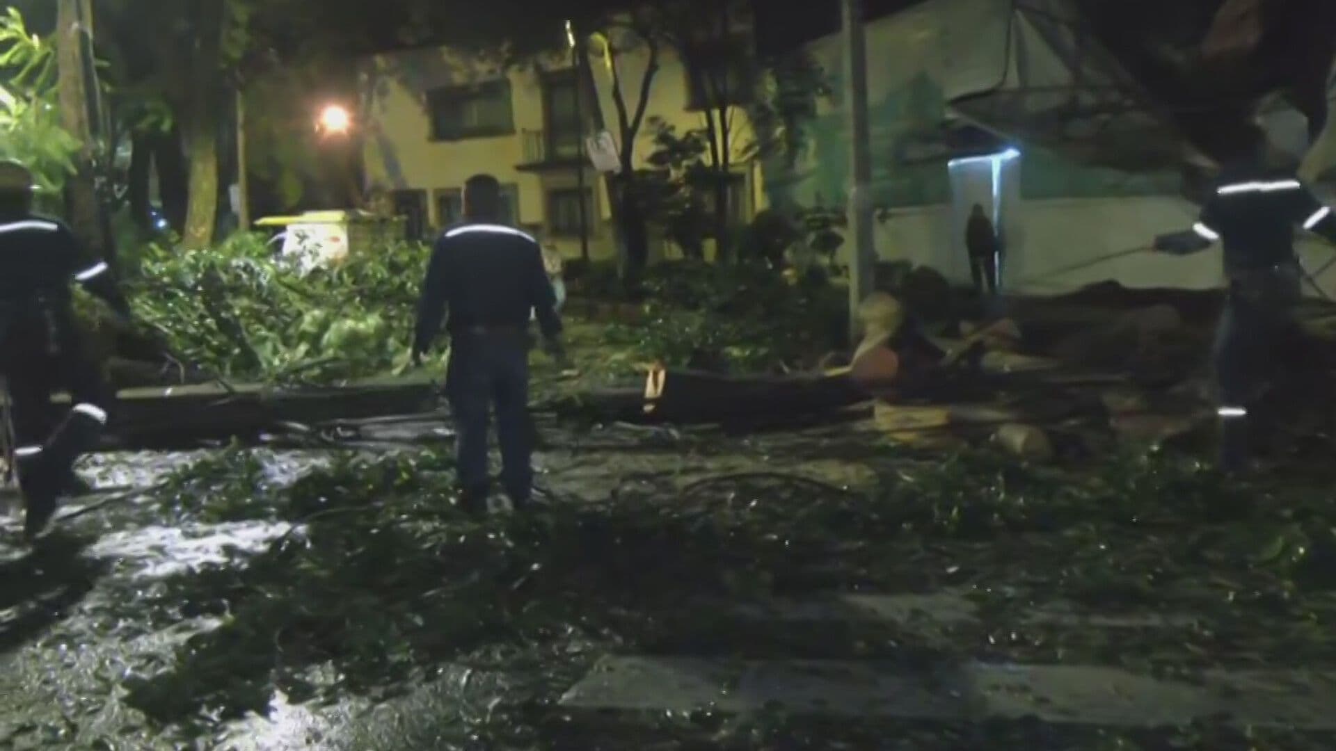 Lluvias en CDMX: Enorme Rama Colapsa y Derriba Cableado en la Cuauhtémoc