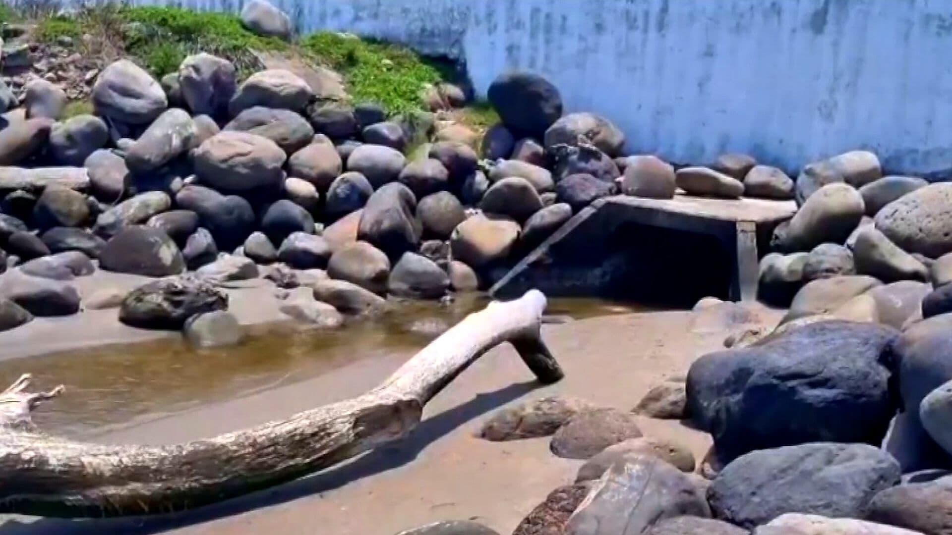 Olores Fétidos Sorprenden a Habitantes en Veracruz y Boca del Río