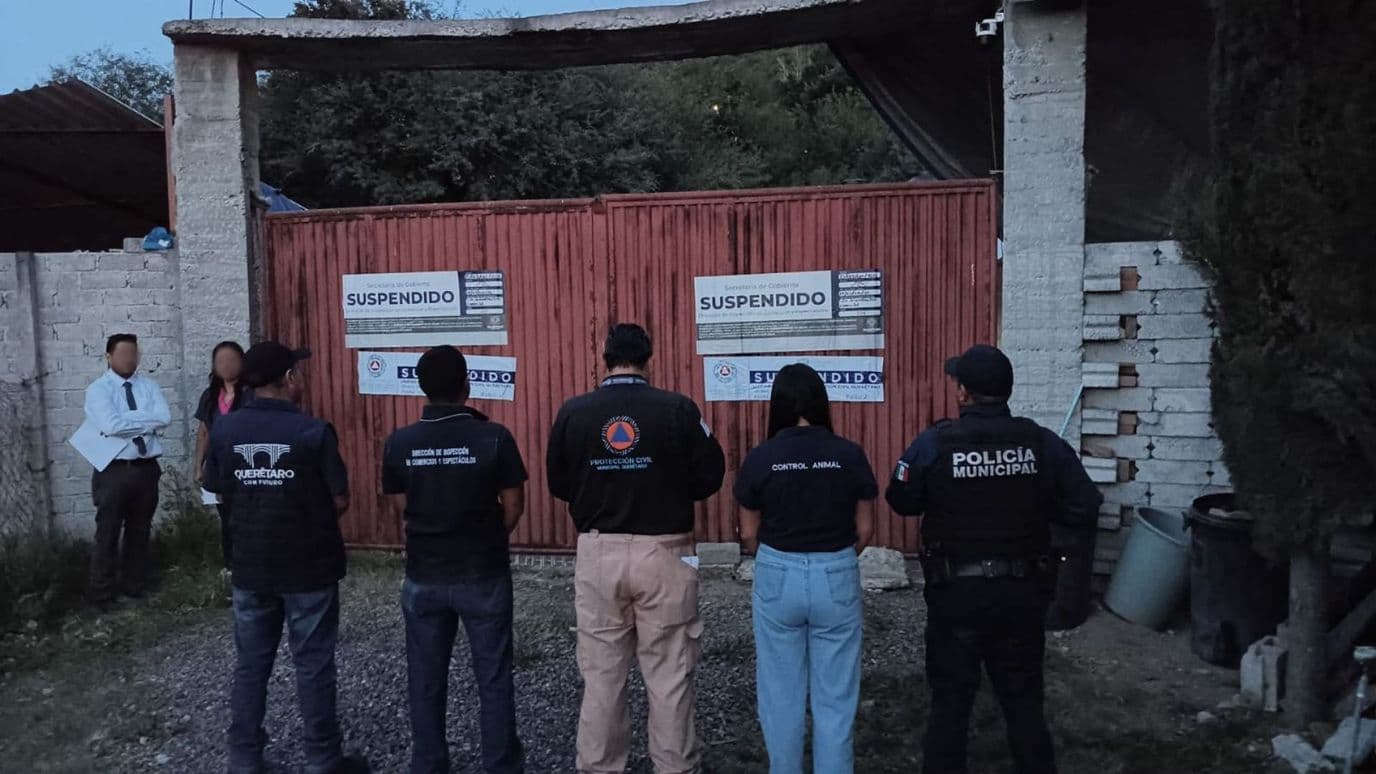Aseguran Perros por Presuntas Irregularidades en Pensión de El Nabo
