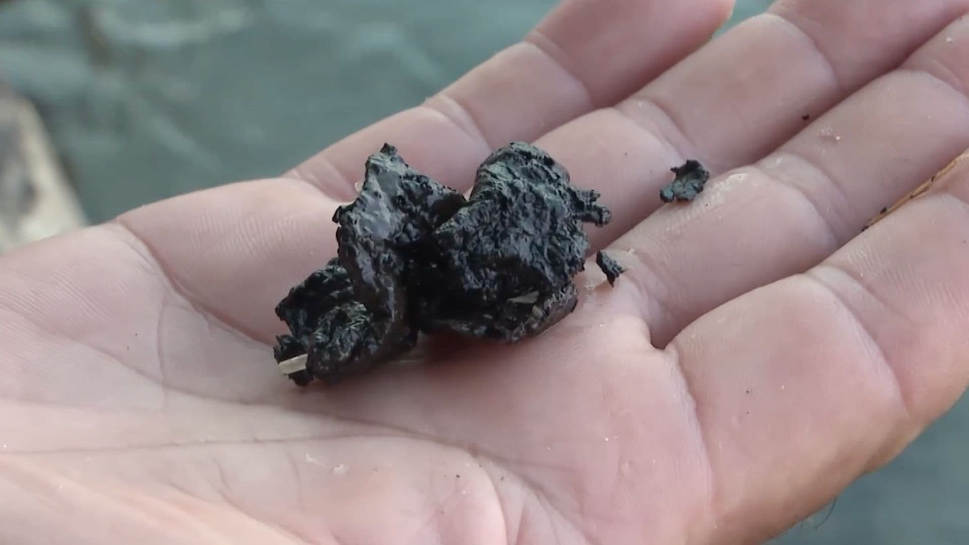 Llegan Residuos de Chapopote al Muro de Pescadores en Veracruz a Tres Meses del Derrame