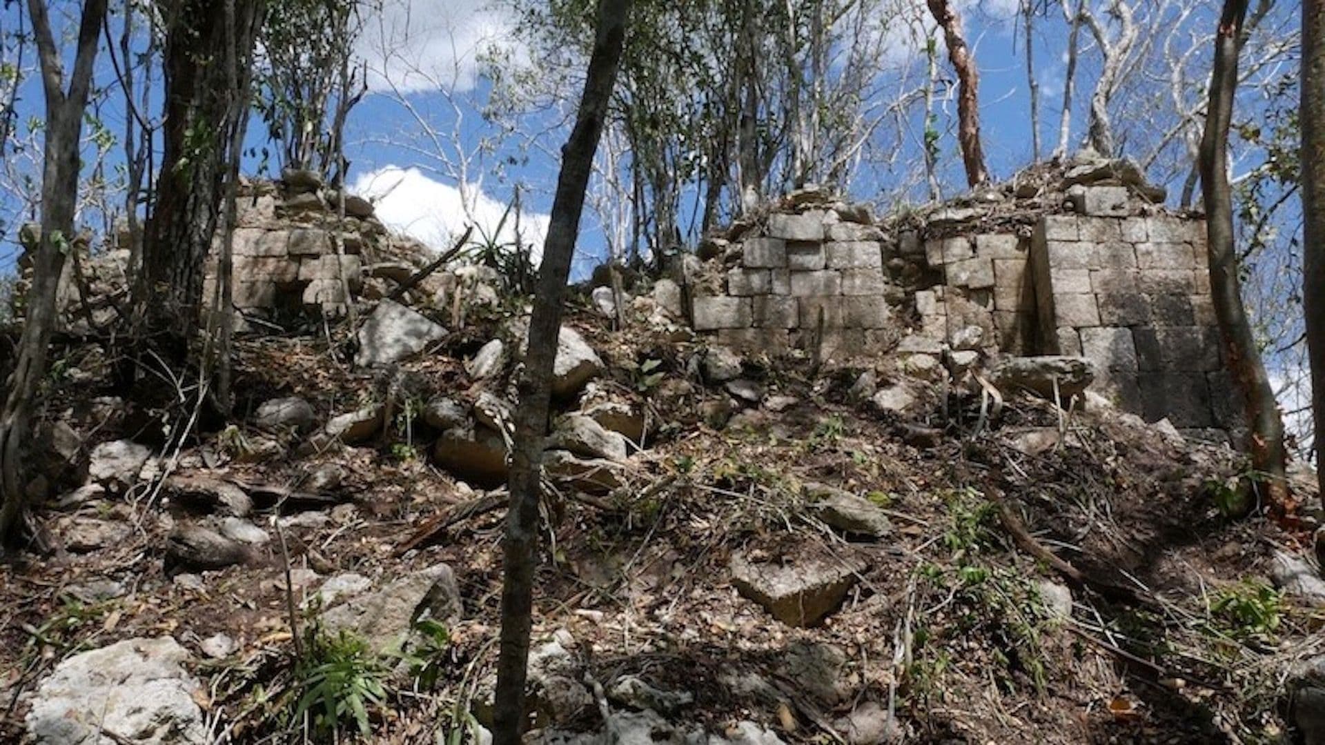 Descubren en Campeche una Ciudad Maya Intacta; Así es Minanbé