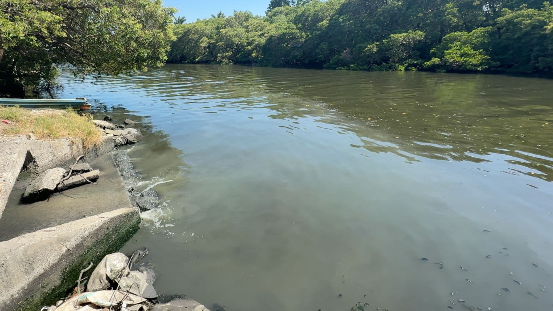 Denuncian Descarga de Aguas Negras en Zona de Manglar del Arroyo Moreno en Veracruz